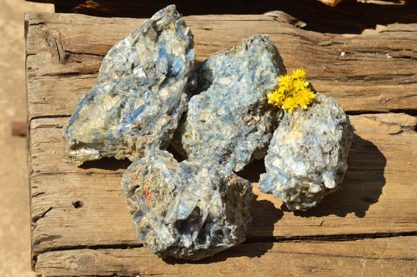 Natural Blue Kyanite Crystals In Schist Specimens  x 4 From Karoi, Zimbabwe - TopRock