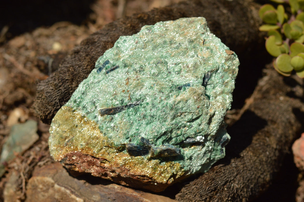 Natural Green Fuchsite With Blue Kyanite Crystals x 6 From Zimbabwe - TopRock