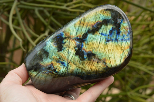 Polished Labradorite Standing Free Forms With Intense Blue & Gold Flash x 2 From Tulear, Madagascar - TopRock