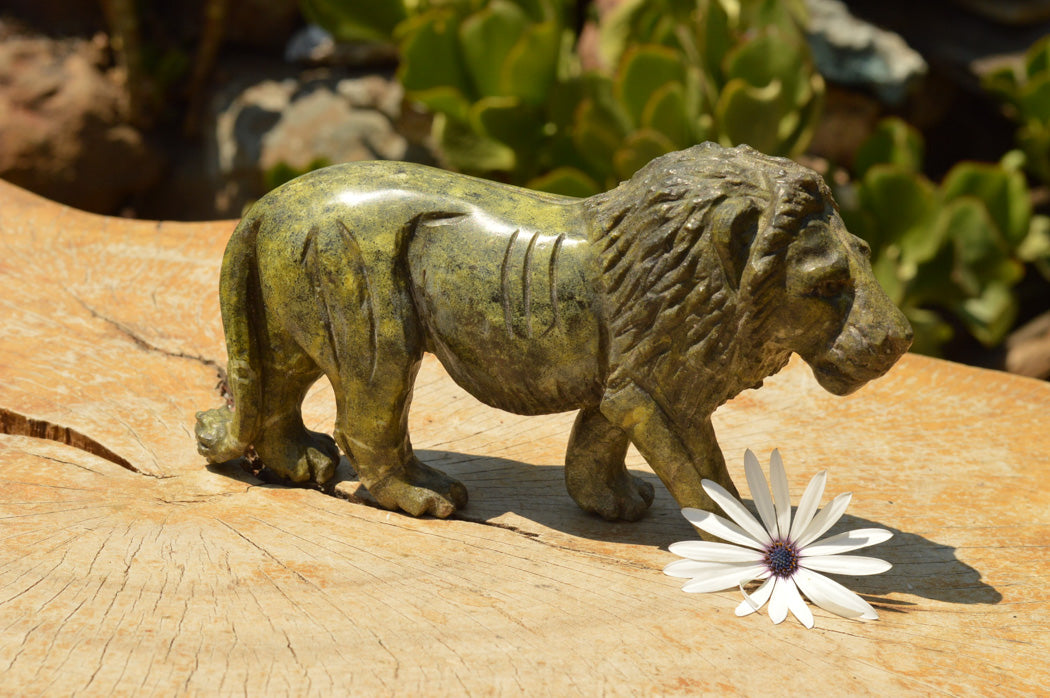 Polished Leopard stone Lion Carving x 1 From Zimbabwe - TopRock