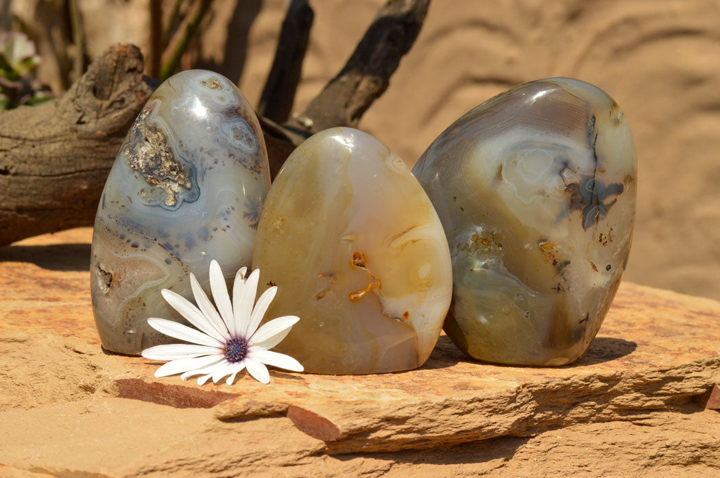 Polished Stunning Dendritic Agate Standing Free Forms x 3 From Moralambo, Madagascar - TopRock