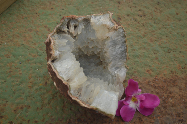 Natural Quartz Crystal Centred Geode Specimen  x 1 From Zululand, South Africa - TopRock