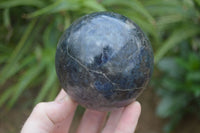 Polished Rare Iolite / Water Sapphire Spheres  x 2 From Northern Cape, South Africa - Toprock Gemstones and Minerals