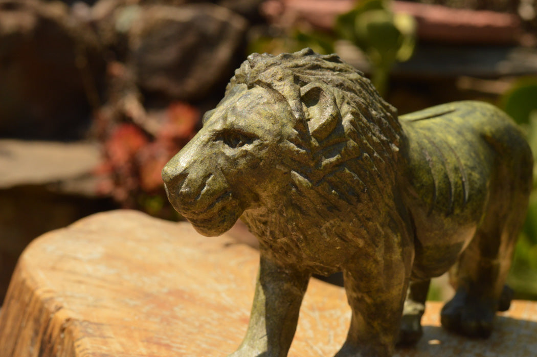 Polished Leopard stone Lion Carving x 1 From Zimbabwe - TopRock