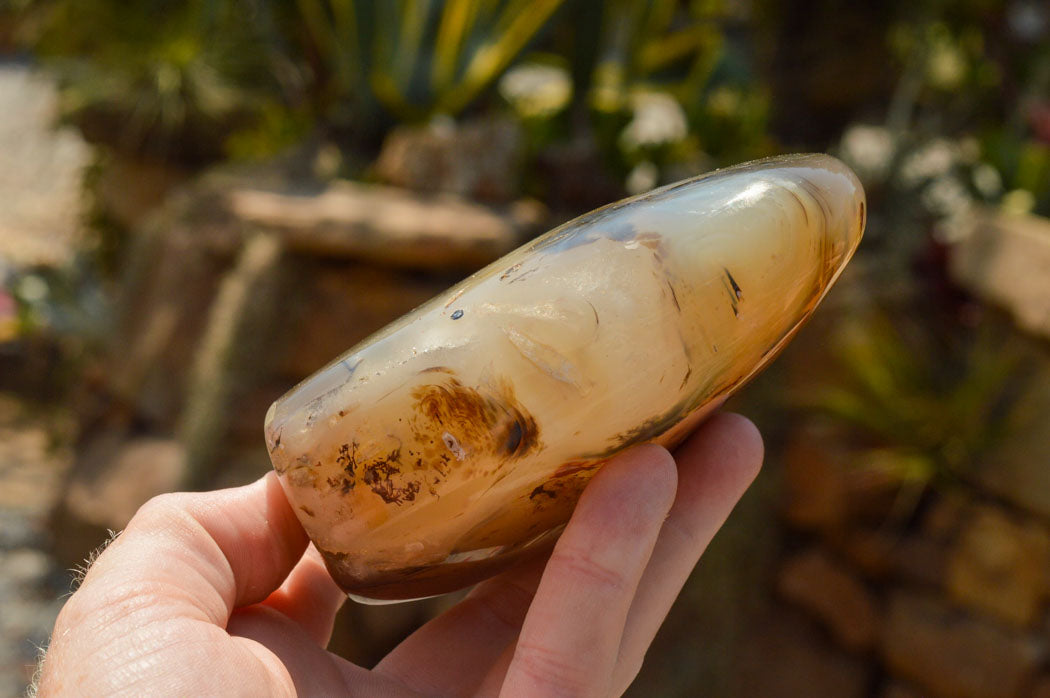 Polished Stunning Dendritic Agate Standing Free Forms x 3 From Moralambo, Madagascar - TopRock