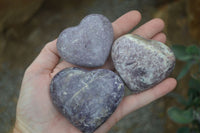Polished Purple Lepidolite  Hearts  x 6 From Madagascar - Toprock Gemstones and Minerals