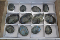 Polished  Flashy Labradorite Palm Stones  x 12 From Tulear, Madagascar - Toprock Gemstones and Minerals