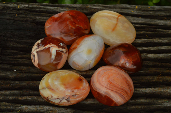 Polished Dark to bright Red and White Carnelian Gallets x 24 From Madagascar - TopRock