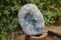 Natural Blue Celestite Geode Specimen  x 1 From Sakoany, Madagascar - Toprock Gemstones and Minerals