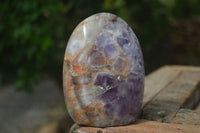 Polished Dream Amethyst Standing Free Forms  x 4 From Madagascar - Toprock Gemstones and Minerals