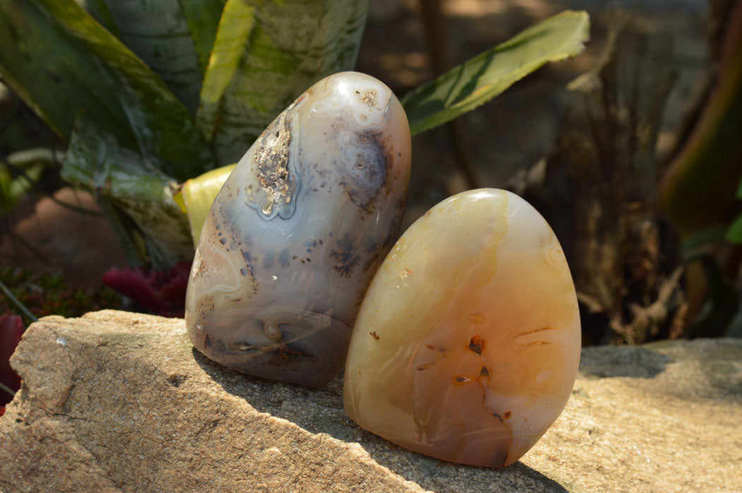 Polished Stunning Dendritic Agate Standing Free Forms x 3 From Moralambo, Madagascar - TopRock