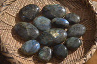 Polished  Flashy Labradorite Palm Stones  x 12 From Tulear, Madagascar - Toprock Gemstones and Minerals