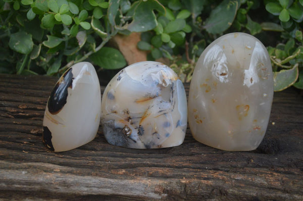 Polished Dendritic Agate Standing Free Forms  x 3 From Madagascar - Toprock Gemstones and Minerals 