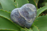 Polished Purple Lepidolite  Hearts  x 6 From Madagascar - Toprock Gemstones and Minerals