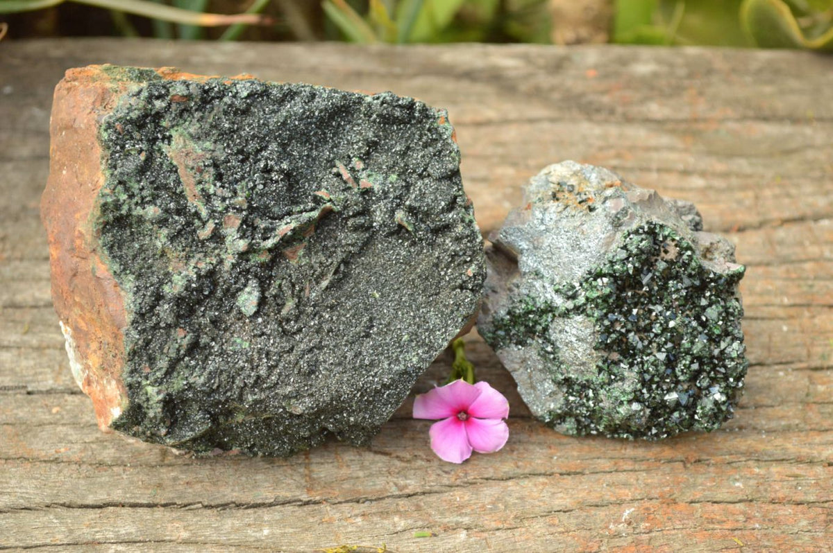 Natural Rare Copper Phosphate Libethenite On Dolomite Specimens x 2 From Shituru, Congo - TopRock
