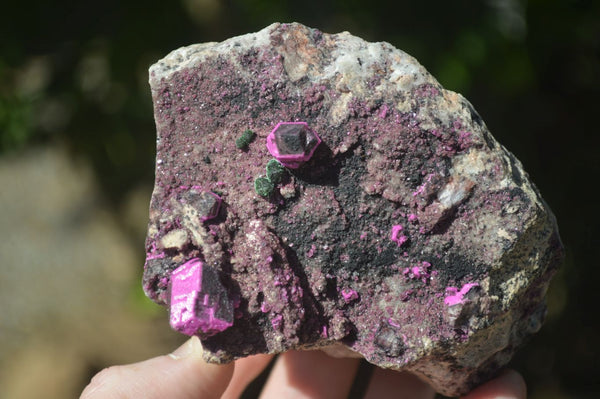 Natural Pink Salrose Cobaltion Dolomite Specimens  x 3 From Congo - Toprock Gemstones and Minerals 