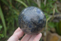 Polished Rare Iolite / Water Sapphire Spheres  x 2 From Northern Cape, South Africa - Toprock Gemstones and Minerals