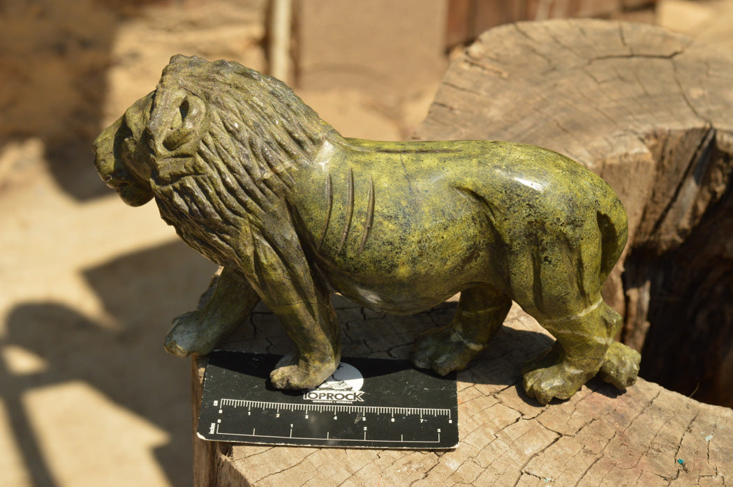 Polished Leopard stone Lion Carving x 1 From Zimbabwe - TopRock