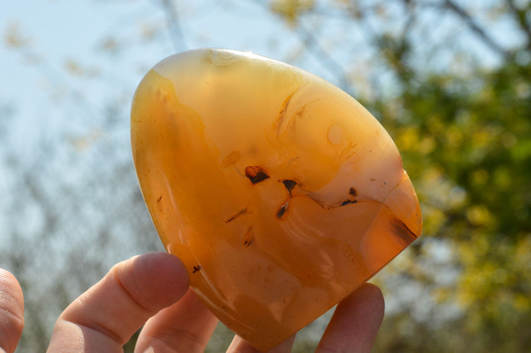 Polished Stunning Dendritic Agate Standing Free Forms x 3 From Moralambo, Madagascar - TopRock
