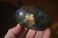 Polished  Flashy Labradorite Palm Stones  x 12 From Tulear, Madagascar - Toprock Gemstones and Minerals