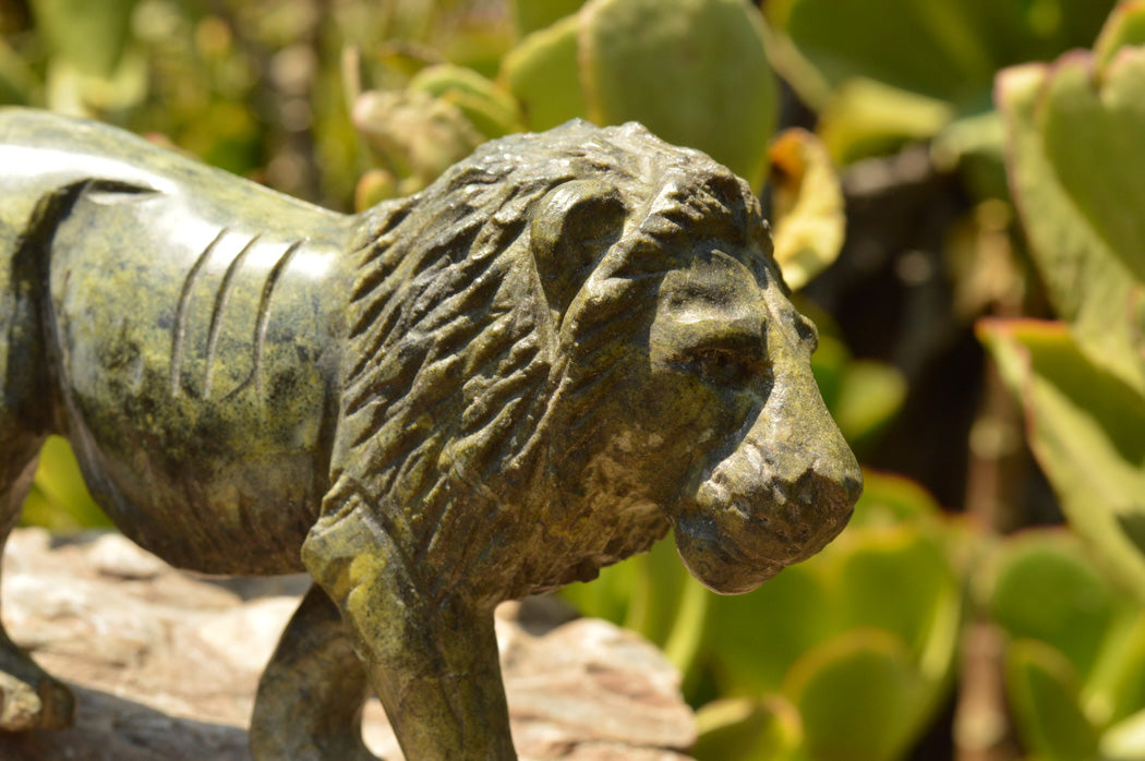 Polished Leopard stone Lion Carving x 1 From Zimbabwe - TopRock