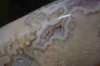 Polished Mixed Agate Standing Free Forms  x 3 From Madagascar - Toprock Gemstones and Minerals