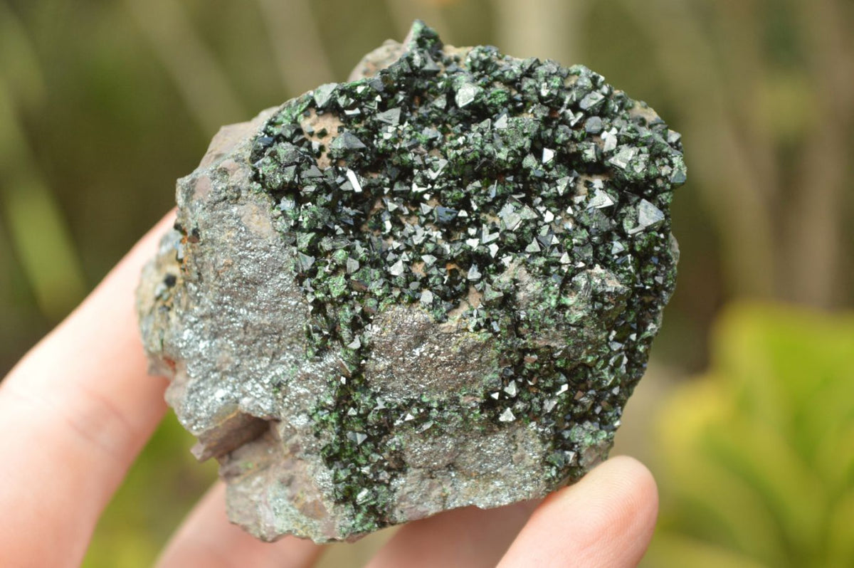 Natural Rare Copper Phosphate Libethenite On Dolomite Specimens x 2 From Shituru, Congo - TopRock