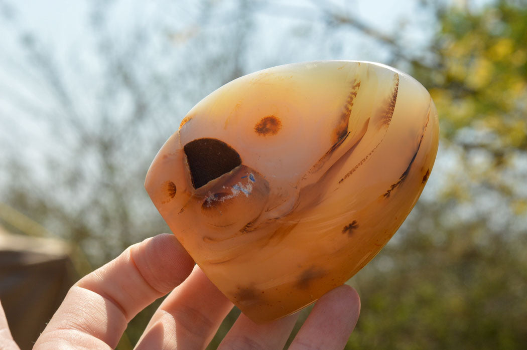 Polished Stunning Dendritic Agate Standing Free Forms x 3 From Moralambo, Madagascar - TopRock