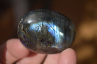 Polished  Flashy Labradorite Palm Stones  x 12 From Tulear, Madagascar - Toprock Gemstones and Minerals
