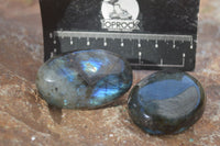 Polished  Flashy Labradorite Palm Stones  x 12 From Tulear, Madagascar - Toprock Gemstones and Minerals