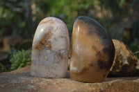 Polished Mixed Agate Standing Free Forms  x 3 From Madagascar - Toprock Gemstones and Minerals