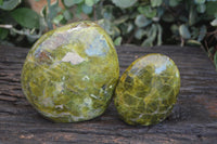 Polished Green Opal Standing Free Forms  x 2 From Antsirabe, Madagascar - Toprock Gemstones and Minerals
