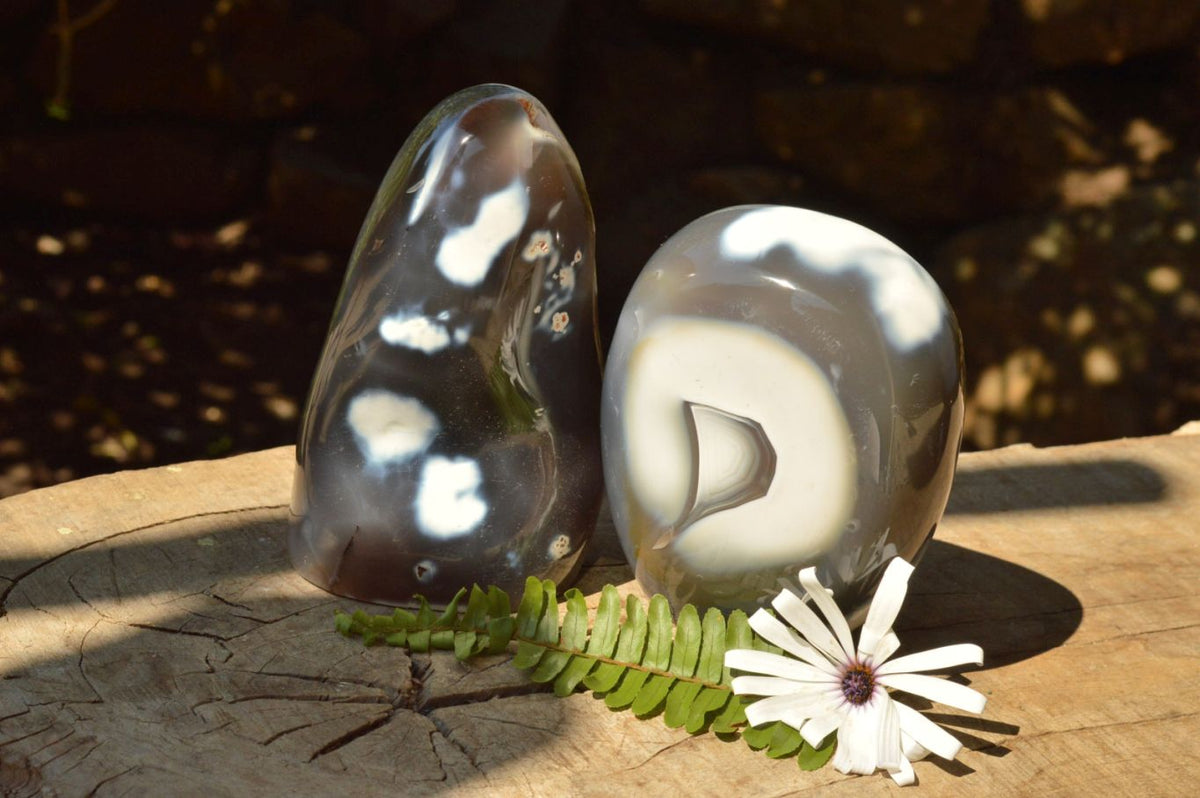 Polished Snow / Orca Agate Standing Free Forms x 2 From Madagascar - TopRock