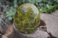 Polished Green Opal Standing Free Forms  x 2 From Antsirabe, Madagascar - Toprock Gemstones and Minerals