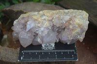 Natural Spirit Amethyst Quartz Clusters  x 4 From Boekenhouthoek, South Africa - Toprock Gemstones and Minerals