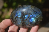 Polished  Flashy Labradorite Palm Stones  x 12 From Tulear, Madagascar - Toprock Gemstones and Minerals