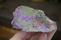 Natural Rough Stichtite Cobbed Specimens  x 6 From Barberton, South Africa - Toprock Gemstones and Minerals
