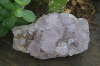 Natural Spirit Amethyst Quartz Clusters  x 4 From Boekenhouthoek, South Africa - Toprock Gemstones and Minerals