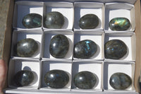 Polished Flashy Labradorite Palm Stones  x 12 From Tulear, Madagascar - Toprock Gemstones and Minerals