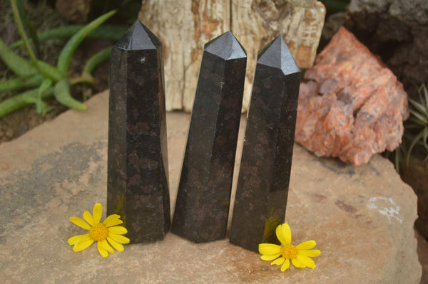 Polished New Sparkling Blue Iolite Points  x 3 From Madagascar - TopRock