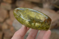 Polished  Green Opal Standing Free Forms x 6 From Madagascar - Toprock Gemstones and Minerals