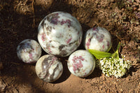 Polished Pink Tourmaline Rubellite Spheres (Small x 4, Medium x 1) x 5 From Ambatondrazaka, Madagascar - TopRock