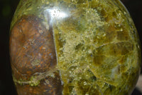 Polished Green Opal Standing Free Forms  x 2 From Antsirabe, Madagascar - Toprock Gemstones and Minerals