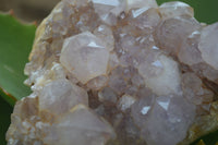 Natural Spirit Amethyst Quartz Clusters  x 4 From Boekenhouthoek, South Africa - Toprock Gemstones and Minerals