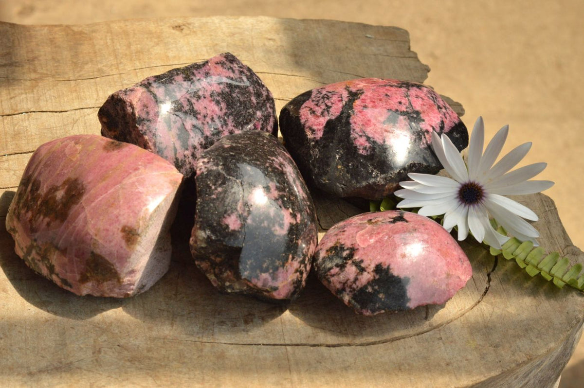 Polished Semi Polished Rhodonite Free Forms x 5 From Ambindavato, Madagascar - TopRock