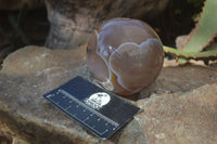 Polished Agate Spheres x 2 From Madagascar - Toprock Gemstones and Minerals