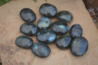 Polished Flashy Labradorite Palm Stones  x 12 From Tulear, Madagascar - Toprock Gemstones and Minerals