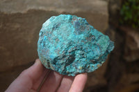 Natural Rough Shattuckite Cobbed Specimens x 6 From Kaokoveld, Namibia - Toprock Gemstones and Minerals