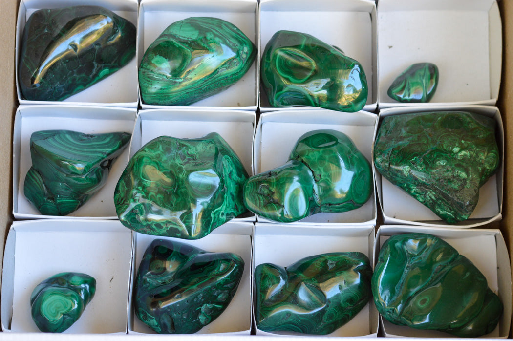 Polished Malachite Free Forms With Stunning Flower & Banding Patterns x 12 From Congo - TopRock