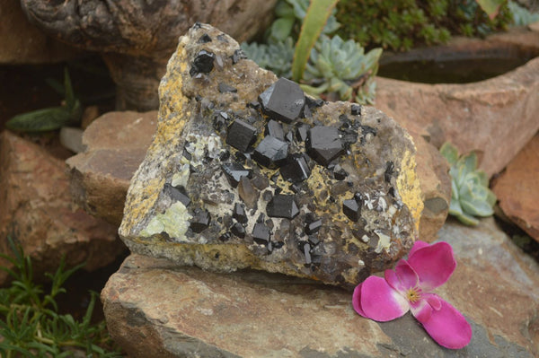 Natural Black Tourmaline Specimen With Hyalite Opal x 1 From Erongo Mountains, Namibia - TopRock